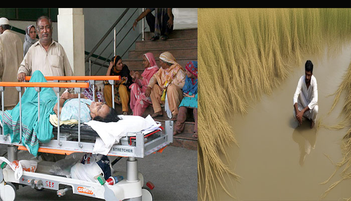 پنجاب کا حال اور دیس کی تباہی کا حساب