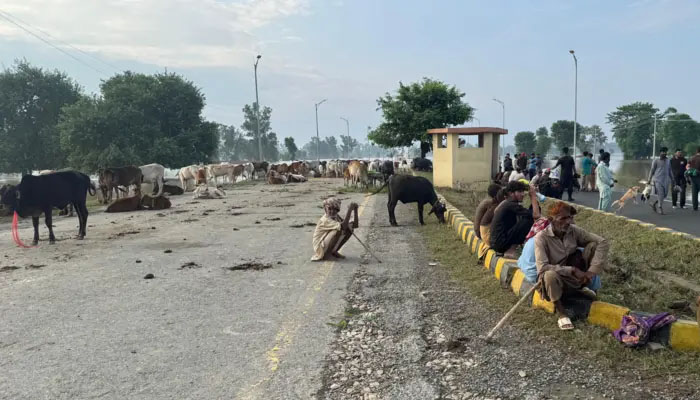 قدرتی آفت کے بعد نئی مصیبت ۔۔۔مہنگائی کا  طوفان