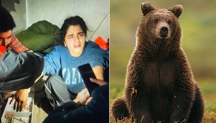 گلوکارہ قراۃ العین بلوچ بھورے ریچھ کے حملے میں زخمی