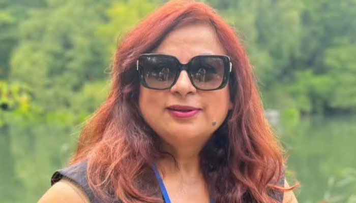 وزارت دفاع کے بعد وزارت خارجہ کا بھی شمع جونیجو سے اظہار لاتعلقی،وزیراعظم کی اسپیچ رائٹر ہوں، شمع جونیجو