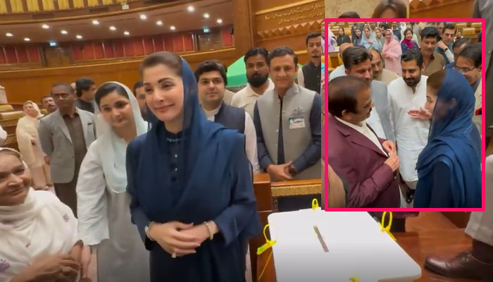 رانا ثنا اللہ سینٹر منتخب ،حکمران اتحاد کو دو تہائی اکثریت مل گئی،27ویں ترمیم کی راہ میں آخری رکاوٹ بھی دور،