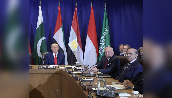 “اسرائیلی یرغمالی آپ ہی رہا کراسکتے ہیں“ڈونلڈ ٹرمپ کی شہباز شریف سمیت اسلامی ممالک کے سربراہان سے ملاقات:
