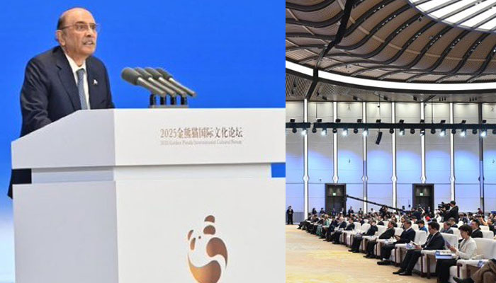 تہذیبوں کو جوڑنے میں فن وثقافت کا اہم کردار، صدر آصف زرداری کا چینگیڈو میں اہم خطاب