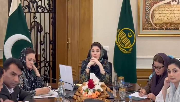 “مریم نواز ہنر مند نوجوان “پروگرام کے تحت لاکھوں کی ٹریننگ مکمل، ہزاروں بر سرروزگار ہوگئے
