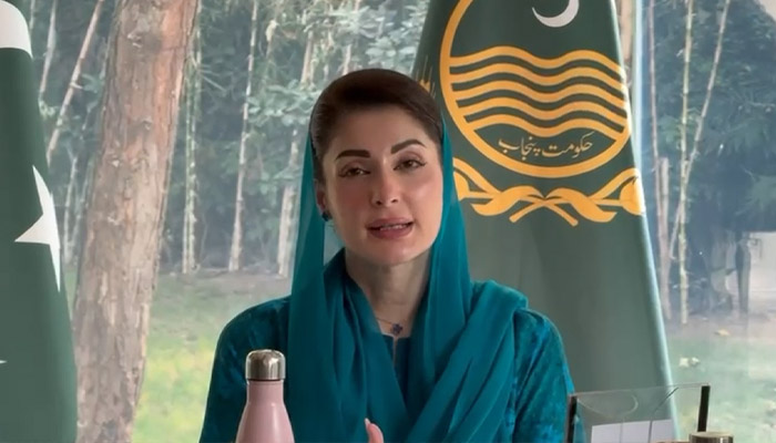 پنجاب حکومت کا غیر قانونی افغان باشندوں کے خلاف سخت کارروائی کا فیصلہ