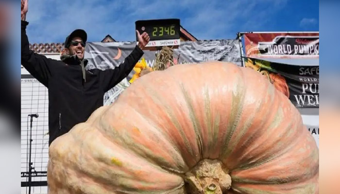 پولینڈ میں ساڑھے 13 من  وزنی کدو نے قومی ریکارڈ توڑ دیا