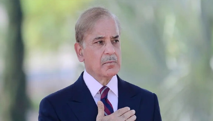 وزیراعظم محمد شہباز شریف کا گھریلو صارفین کے لیے ملک بھر میں گیس کنکشنز کی بحالی کا اعلان