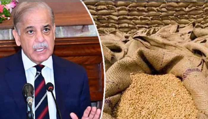 کسانوں کو گندم کی مناسب قیمت دی جائے گی، وزیراعظم شہباز شریف گندم پالیسی 26-2025 منظور