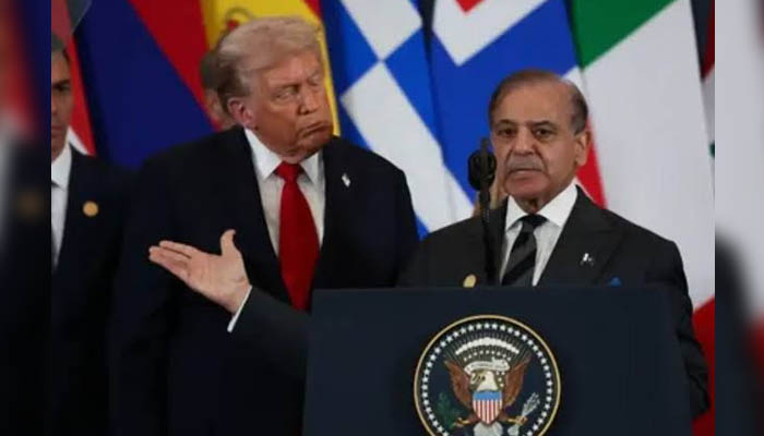 پاک بھارت جنگ میں نے رکوائی، ڈونلڈ ٹرمپ کی جانب سے وزیراعظم شہباز شریف کو خراج تحسین،