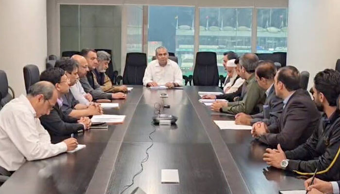 سعودی عرب میں کرکٹ کا نیا دور؛ پاکستان جدہ میں عالمی معیار کا اسٹیڈیم بنانے میں تکنیکی معاونت فراہم کرے گا، پی سی بی