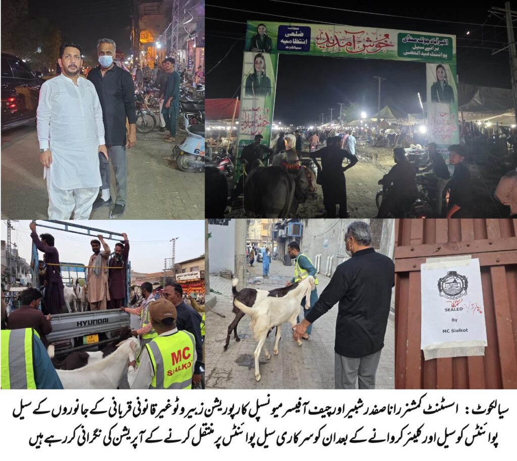 سیالکوٹ غیر قانونی قربانی کے جانوروں کے سیل پوائنٹس کے خلاف بھرپور کارروائی