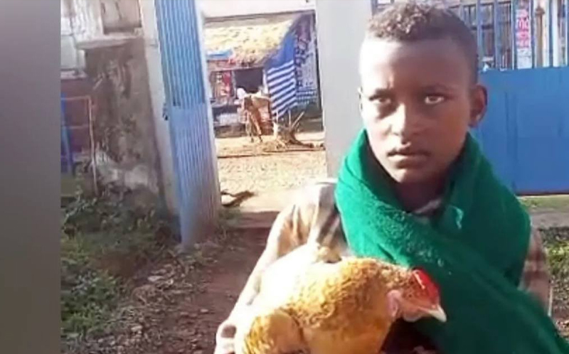 بے مثال ، بے غرض محبت ؛ ایتھوپیا کے 12 سالہ لڑکے نے بیمار مرغی کے لیے انسانوں کے ہسپتال کا رخ کر لیا، ویڈیو وائرل