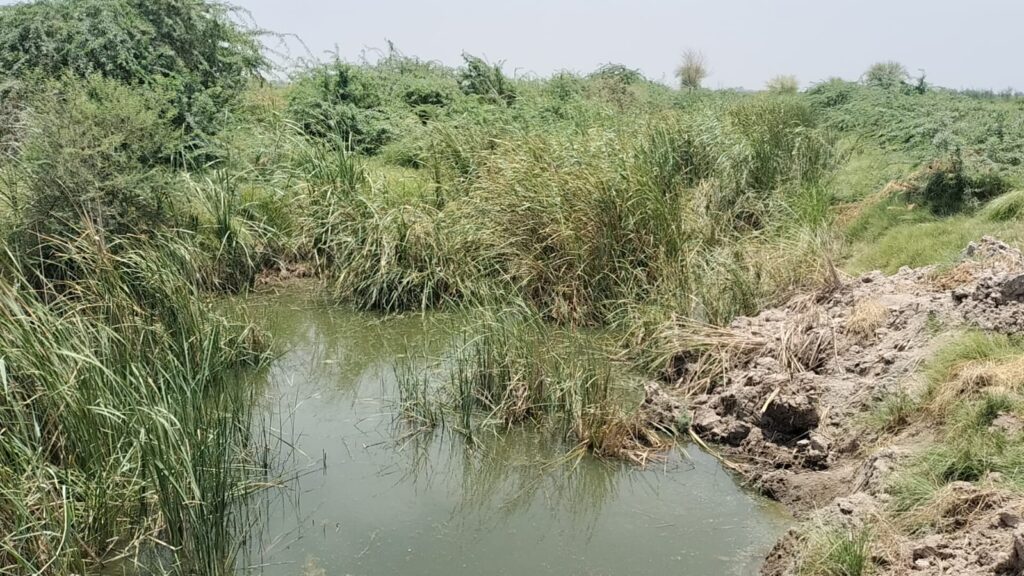 سیم نالوں اور نکاسیٔ آب کے نظام کی مؤثر صفائی نہ ہوسکی نشیبی علاقے زیرِ آب آنے کا خطرہ