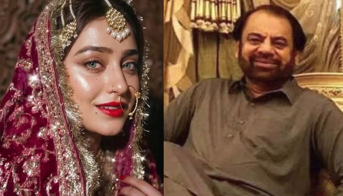 دلہن نے اے آئی سے بنی تصویر بھیج کر فراڈ کیا، سندھ سے سابق ایم پی اے عدالت پہنچ گیا