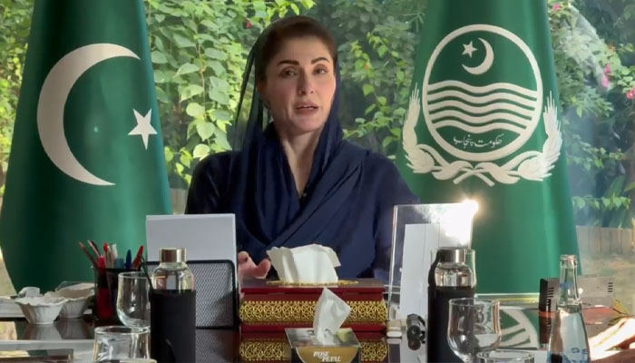 پنجاب میں صفائی کے موثر نظام کیلئے جامع مائیکرو پلان طلب